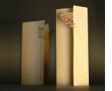 ƽ����Ʒ-����VI�OӋ