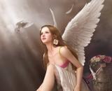 MAYAӰҕ-���S��ɫ