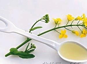 新概念英語詞匯