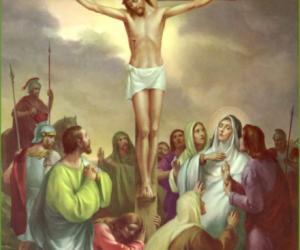 新概念英語詞匯