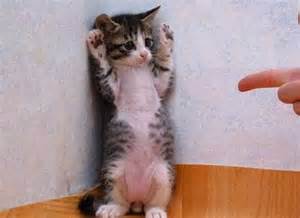 新概念英語詞匯