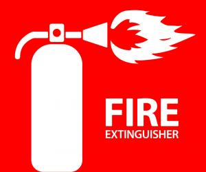 新概念英語詞匯