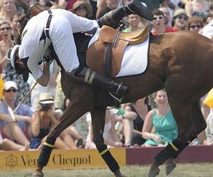 新概念英語詞匯