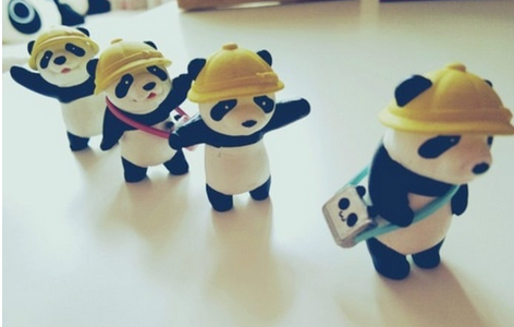 新概念英語詞匯