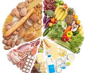 新概念英語詞匯