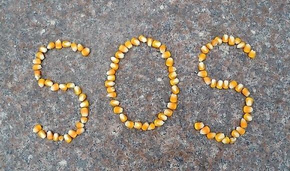 新概念英語詞匯