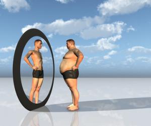 新概念英語詞匯