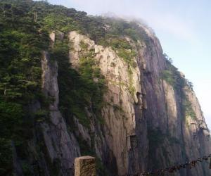 新概念英語詞匯