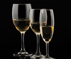 新概念英語培訓