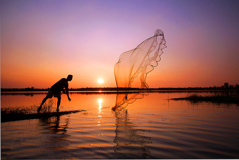 新概念英語詞匯