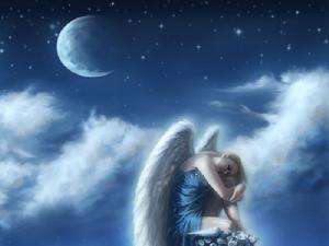 新概念英語詞匯