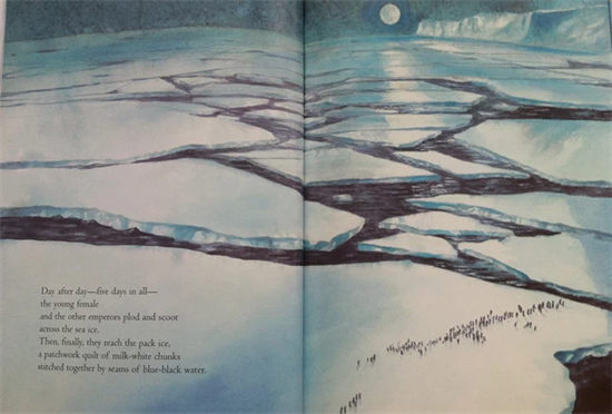 上海小托福培訓